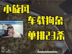 TGLTN车载Groza单排23杀集锦