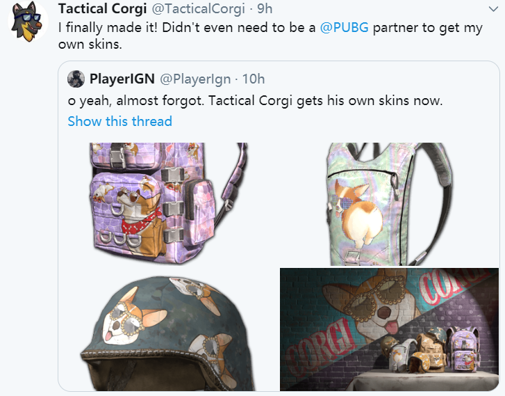 Twitch主播Tactical Corgi联名可爱皮肤即将上线