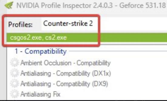 起源2来了？在NVIDIA控制面板中发现csgo2选项