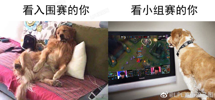 lpl赛事没品图:柴犬进化史 lol英雄联盟视频解说-游久网lol.uuu9.