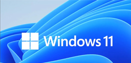 Win11预览更新导致部分微软商店应用无法运行