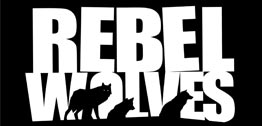 Rebel Wolves聘請《巫師3》資深人士為創意總監 3A奇幻RPG開發中