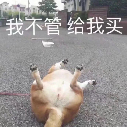 图片 16.png